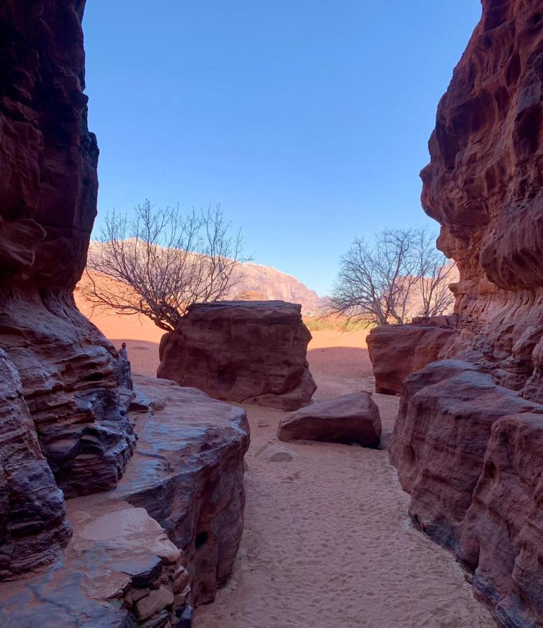 와디럼 Bedouin Memories Camp B&B 외부 사진